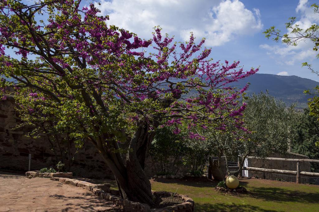 Casa Rural Los Lilos Gotor ห้อง รูปภาพ