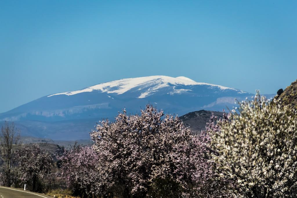 Casa Rural Los Lilos Gotor ห้อง รูปภาพ