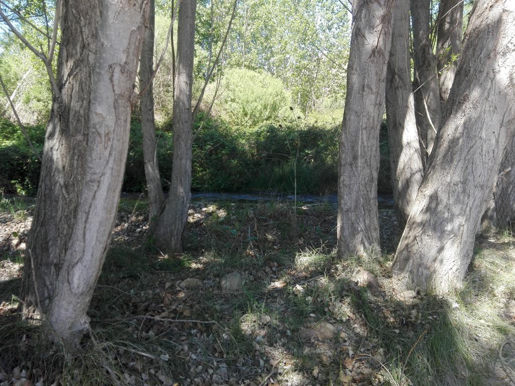 Casa Rural Los Lilos Gotor ภายนอก รูปภาพ